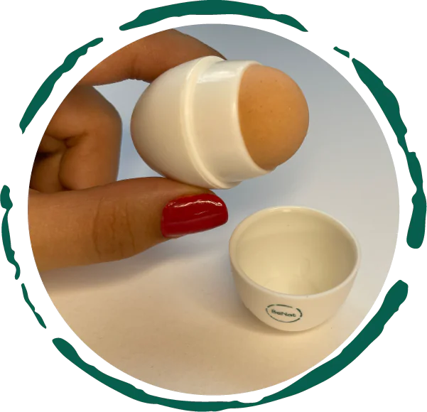 Oil-Absorbing Face Roller