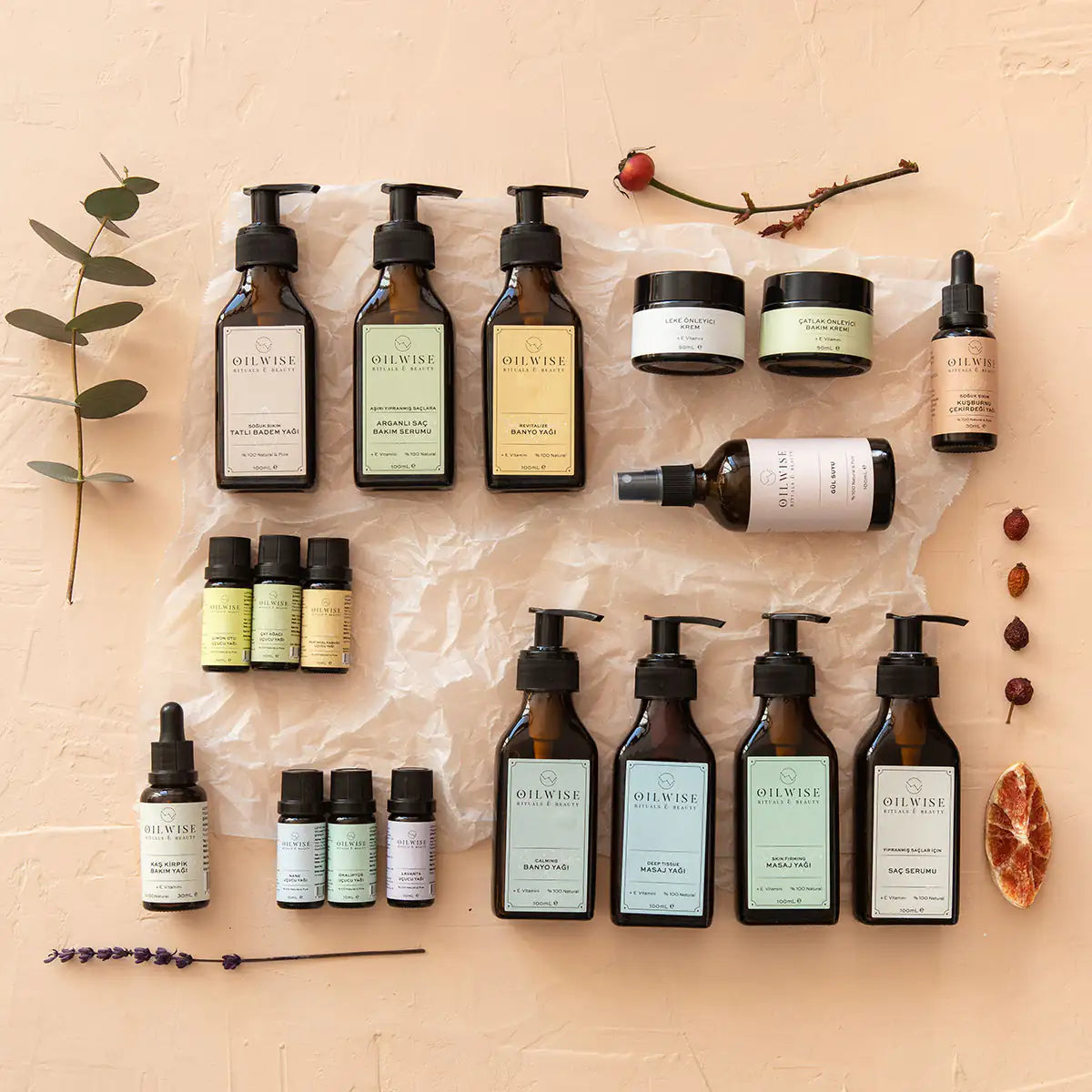 Oilwise Anti-Aging  Serum